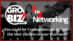 GroYourBiz 1-2-1 Networking Sessions